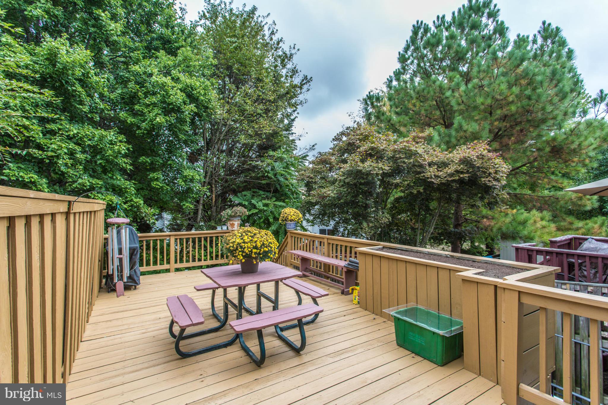 MONTGOMERY MEADOWS - Residential