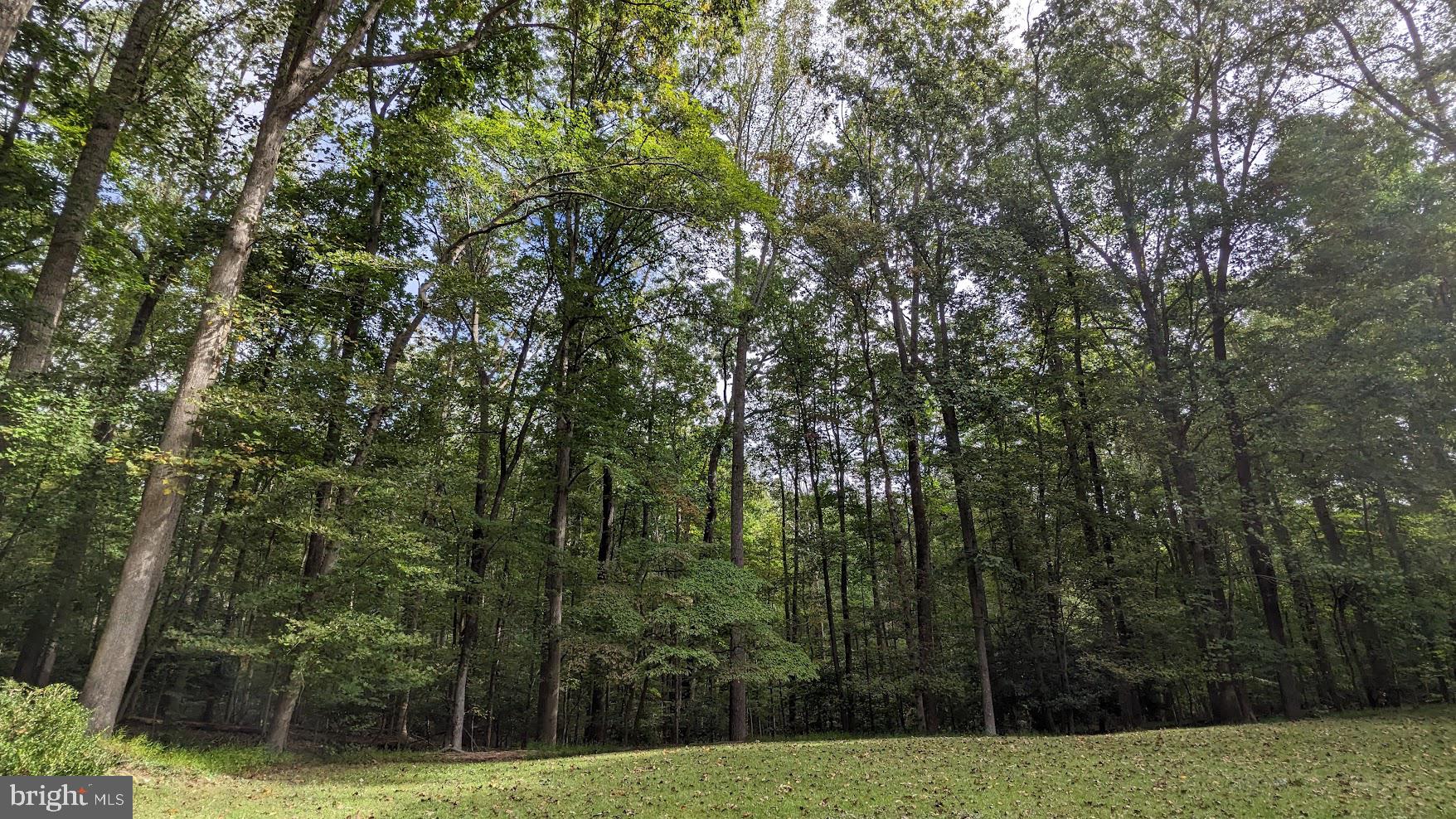 ENGLISH HILLS - Residential