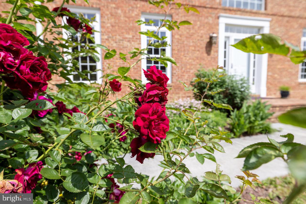 EDINBURG MANOR - Residential