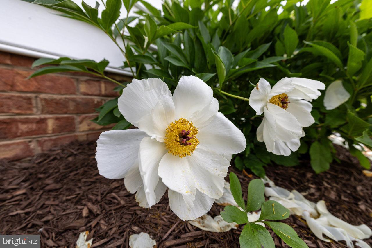 EDINBURG MANOR - Residential