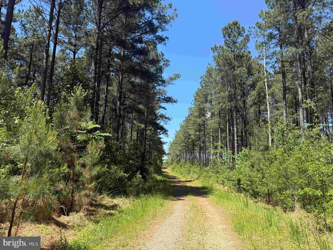 LAUREL SPRINGS ROAD (TRACT: SURRY DR. WILLIAMS-2)