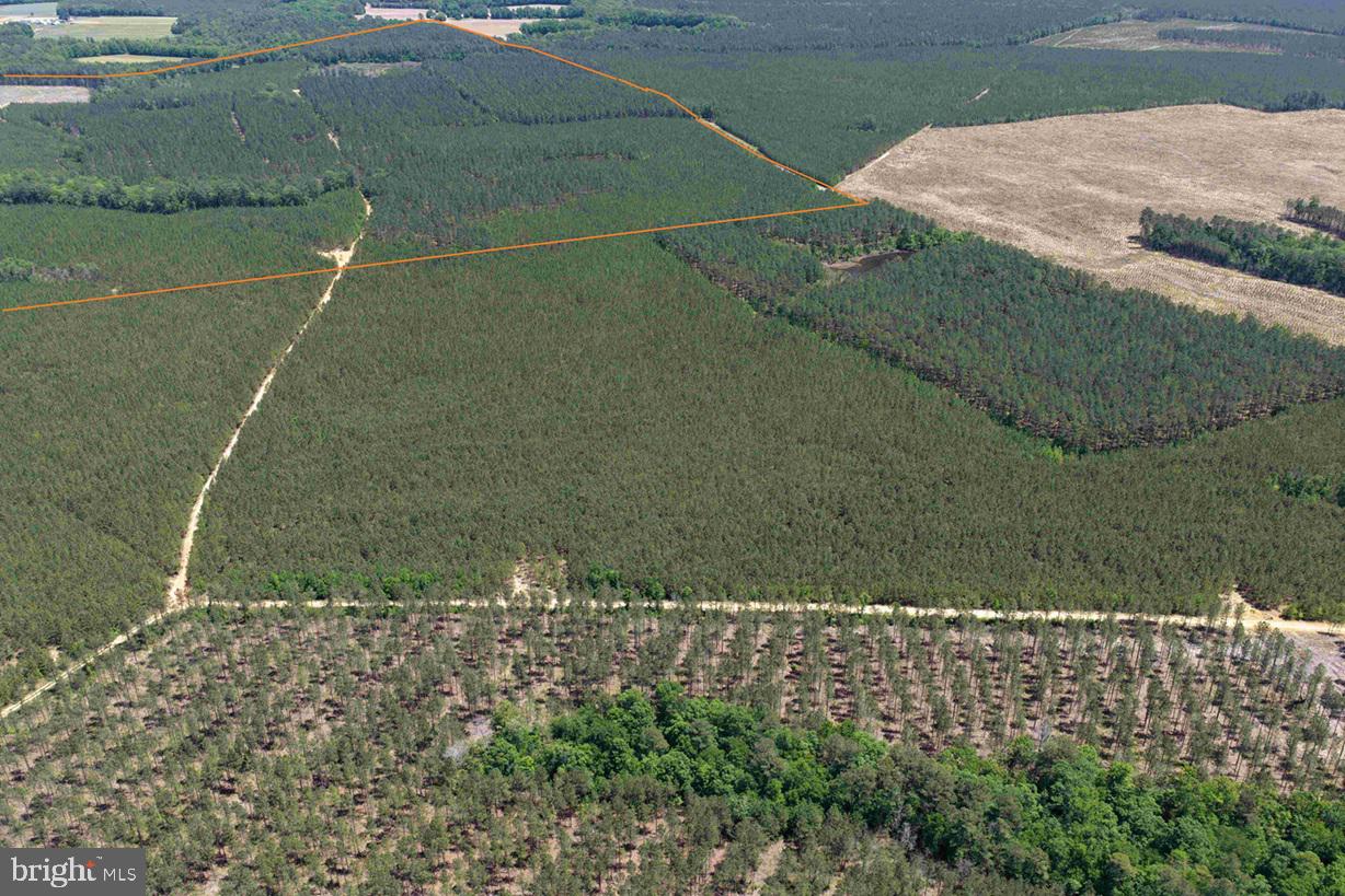 LAUREL SPRINGS ROAD (TRACT: SURRY DR. WILLIAMS-2)