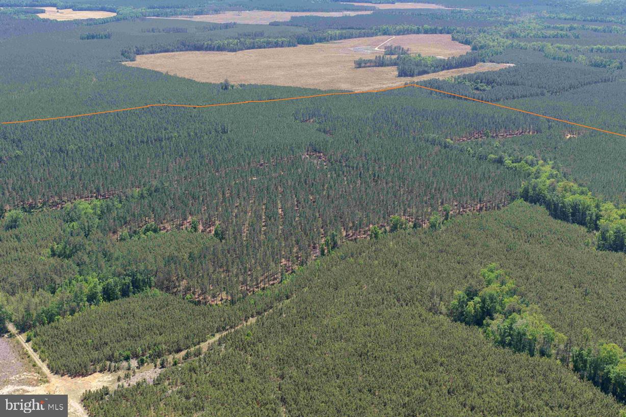 LAUREL SPRINGS ROAD (TRACT: SURRY DR. WILLIAMS-2)