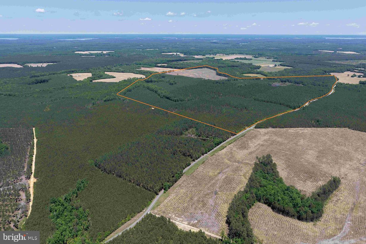 LAUREL SPRINGS ROAD (TRACT: SURRY DR. WILLIAMS-2)