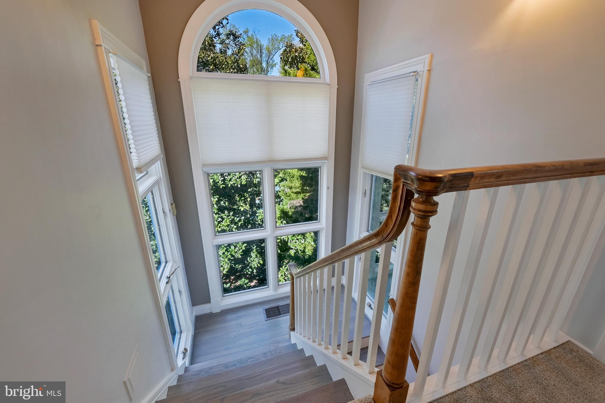 WARDOUR - Residential