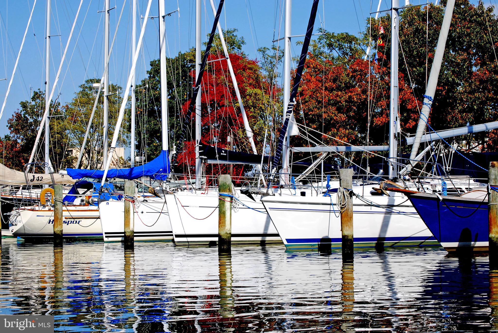 WARDOUR - Residential