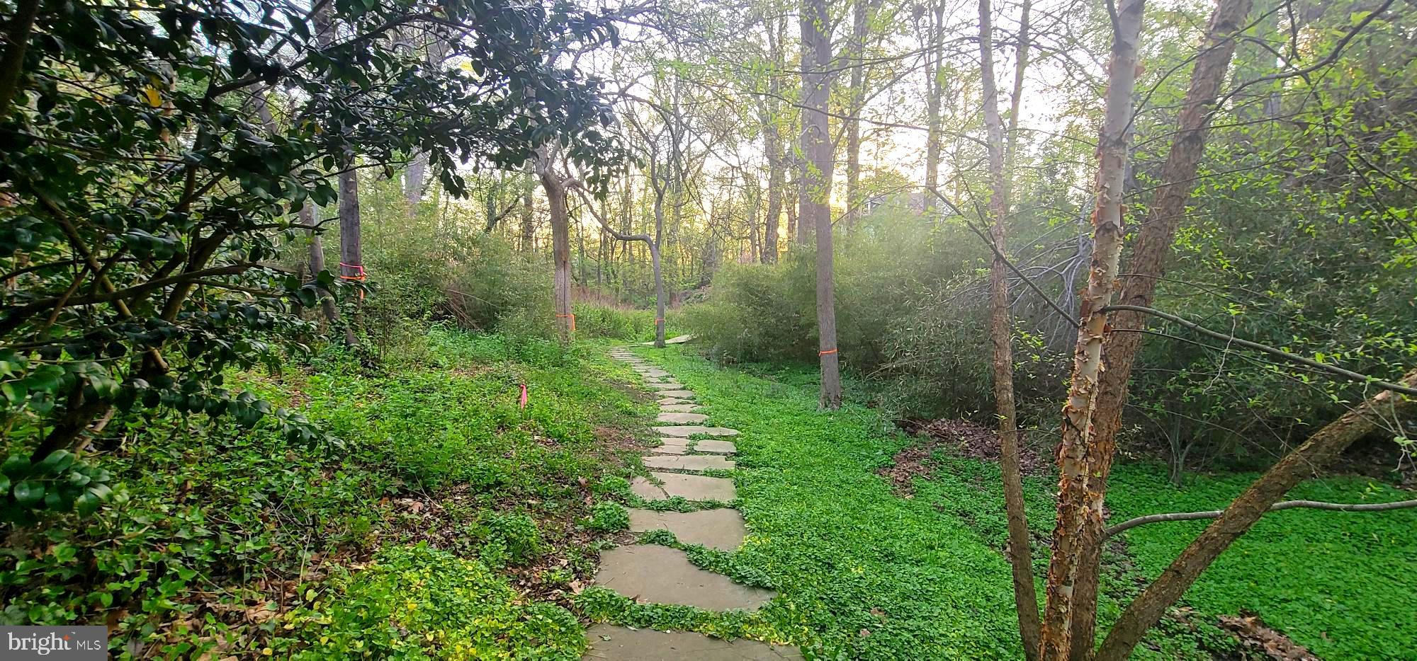 WARDOUR - Residential