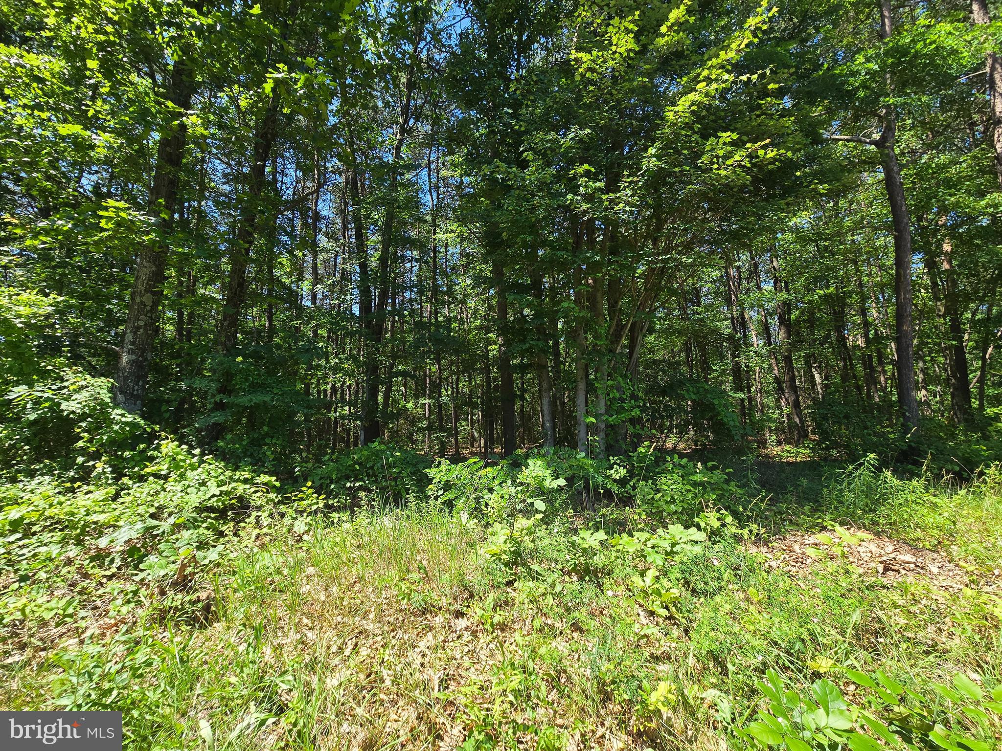 186 BIG OAK DRIVE