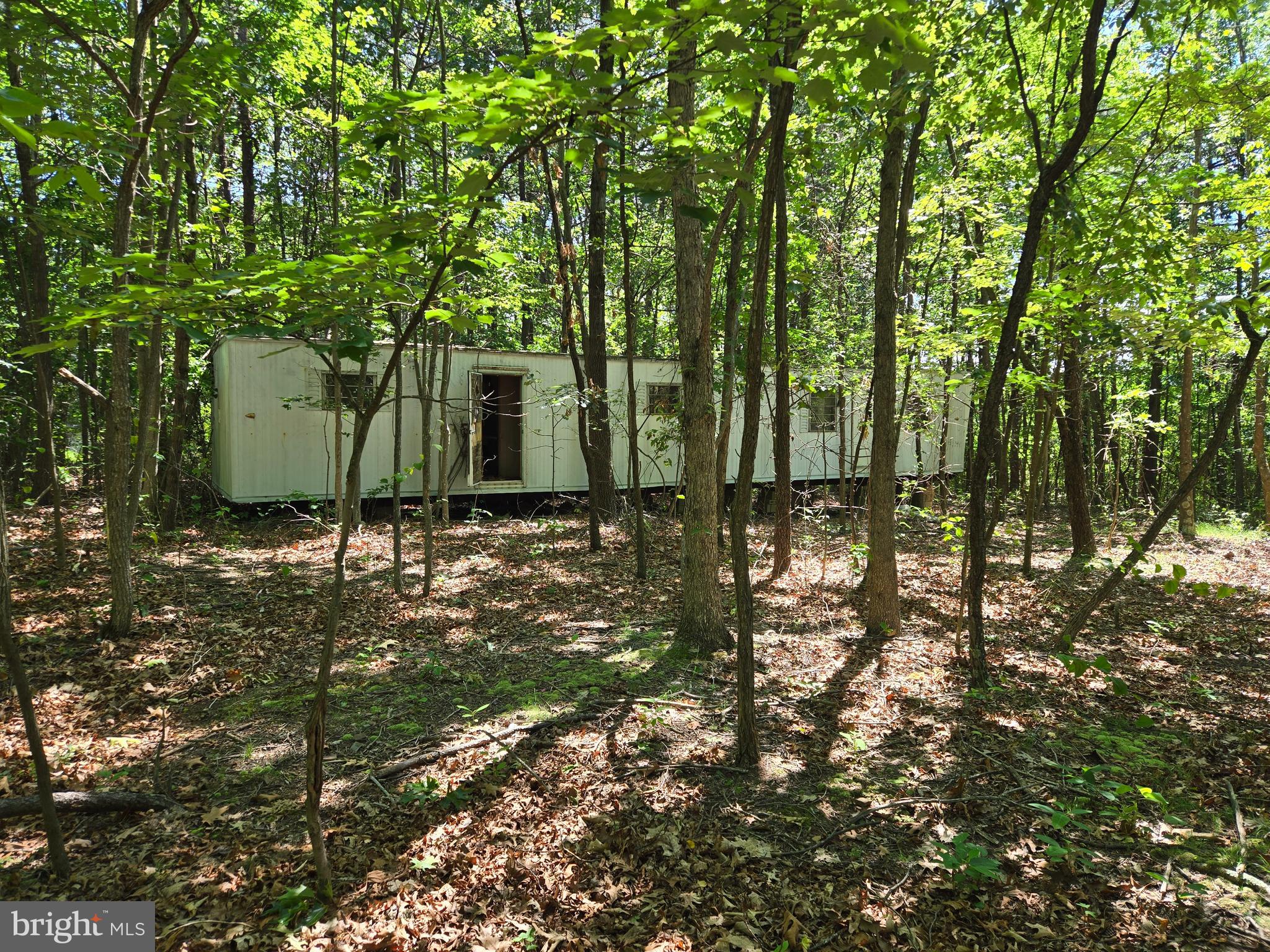 186 BIG OAK DRIVE