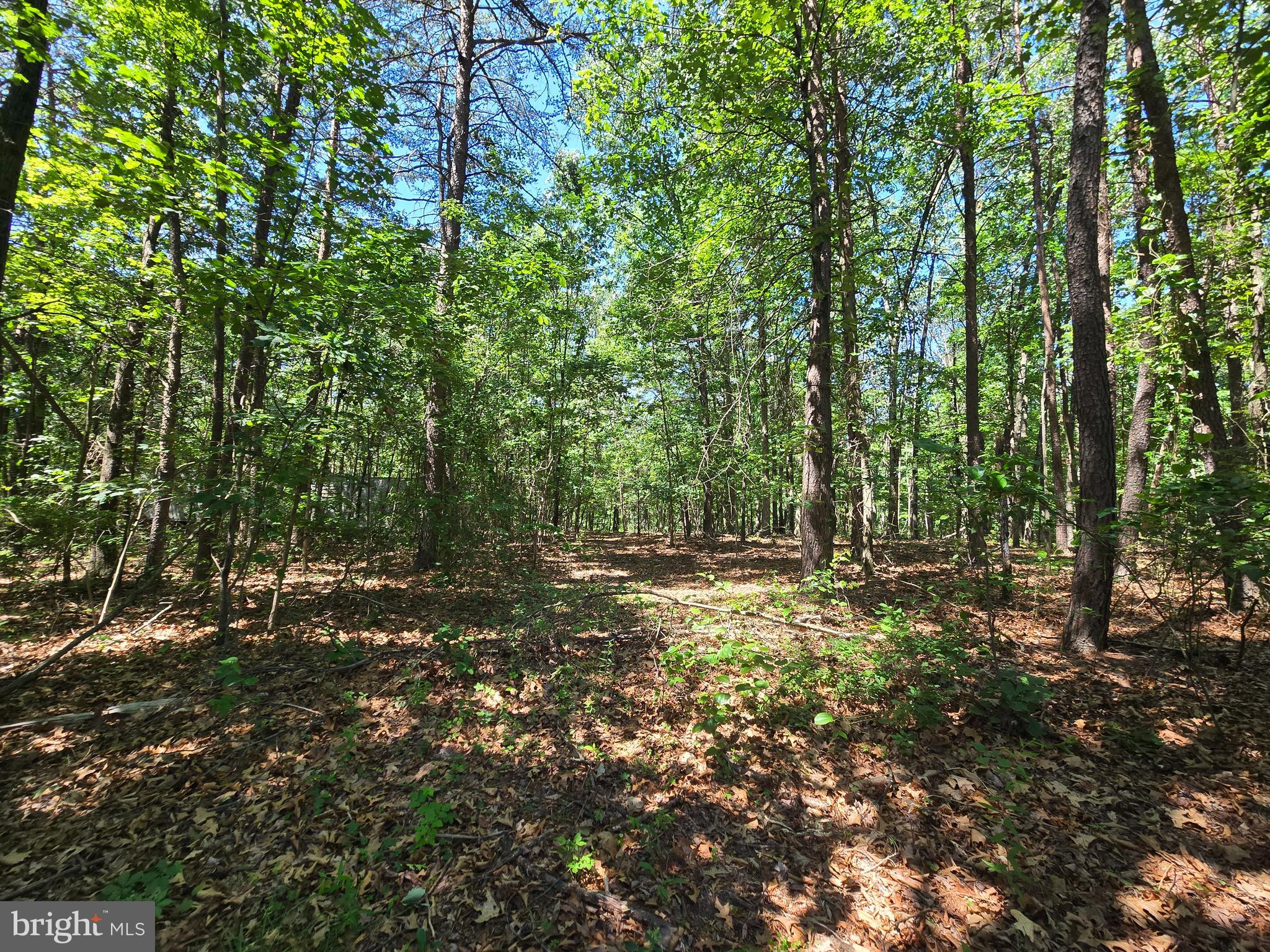186 BIG OAK DRIVE