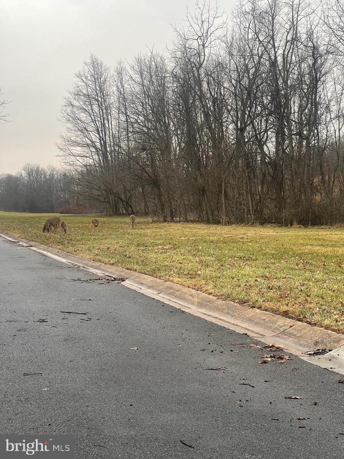 THUNDERBIRD TERRACE - Residential