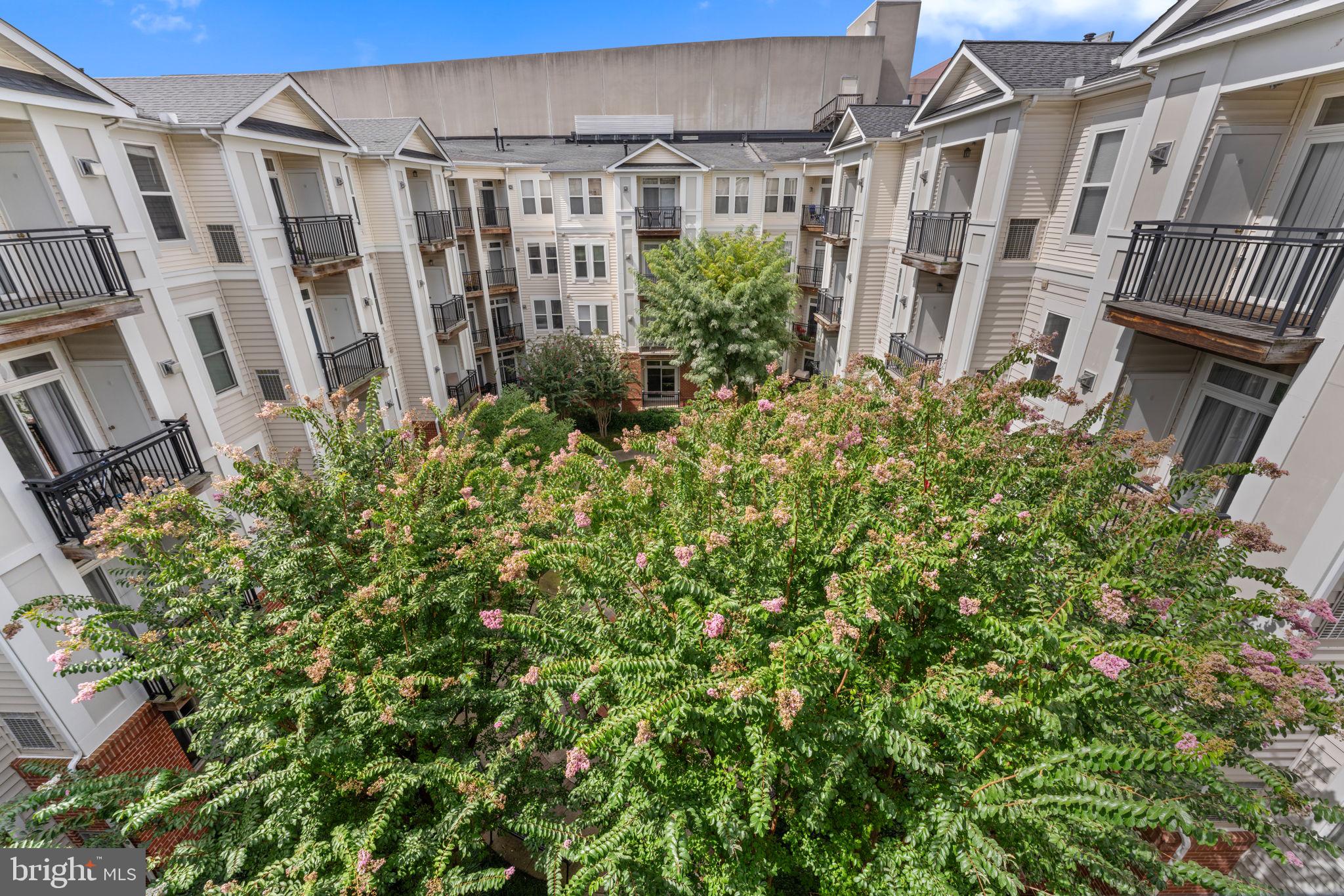 HALSTEAD AT THE METRO - Residential