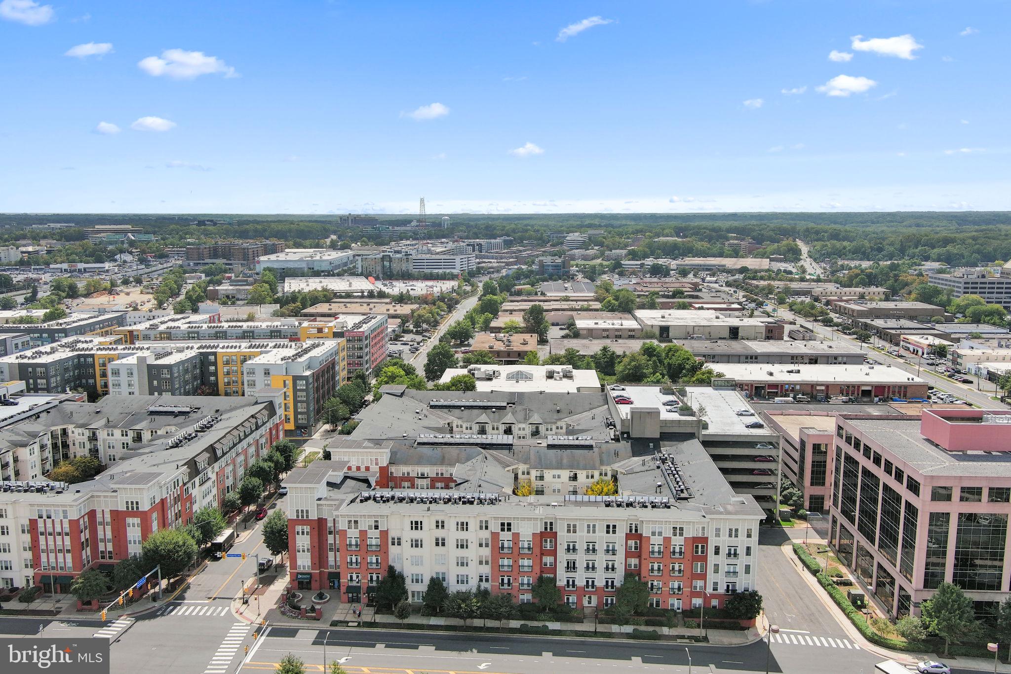 HALSTEAD AT THE METRO - Residential