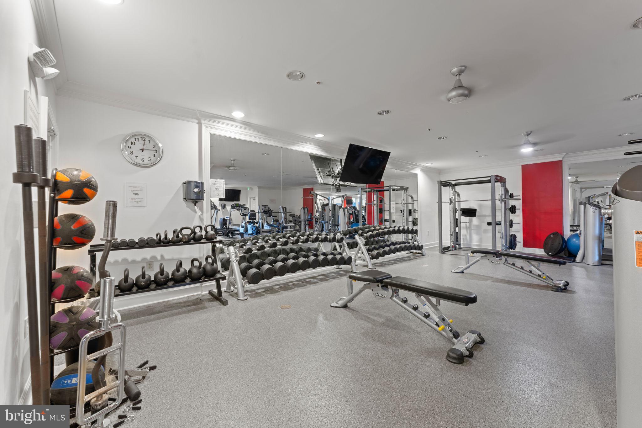 HALSTEAD AT THE METRO - Residential