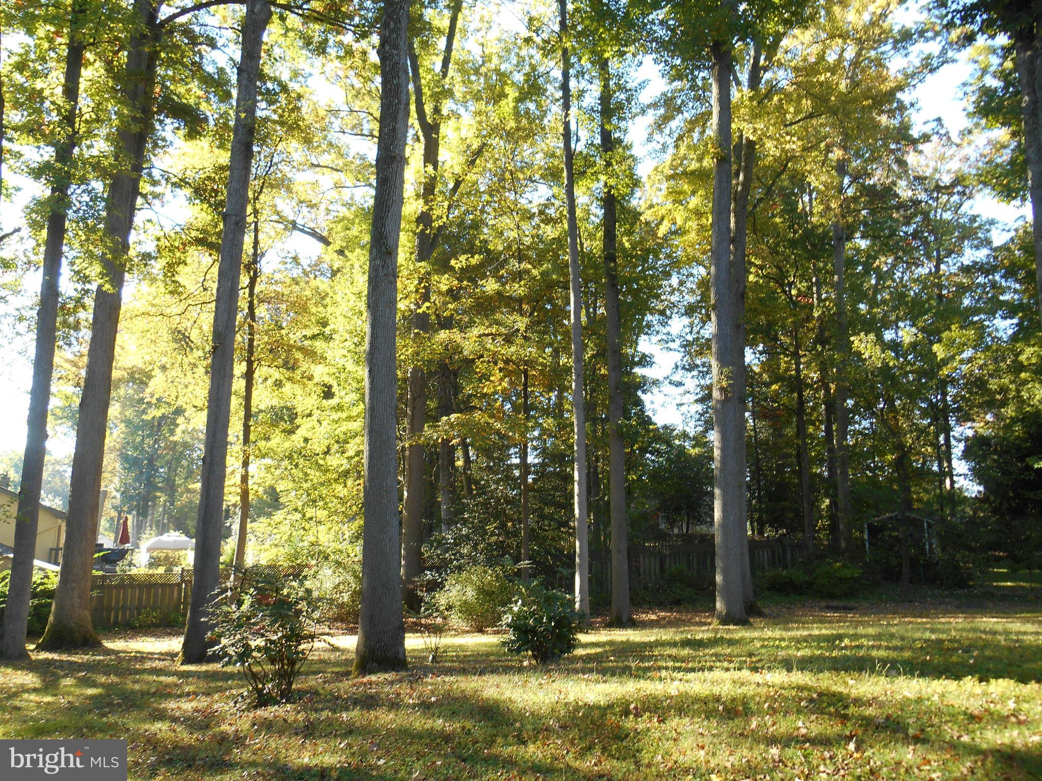 YACHT HAVEN ESTATES - Residential Lease