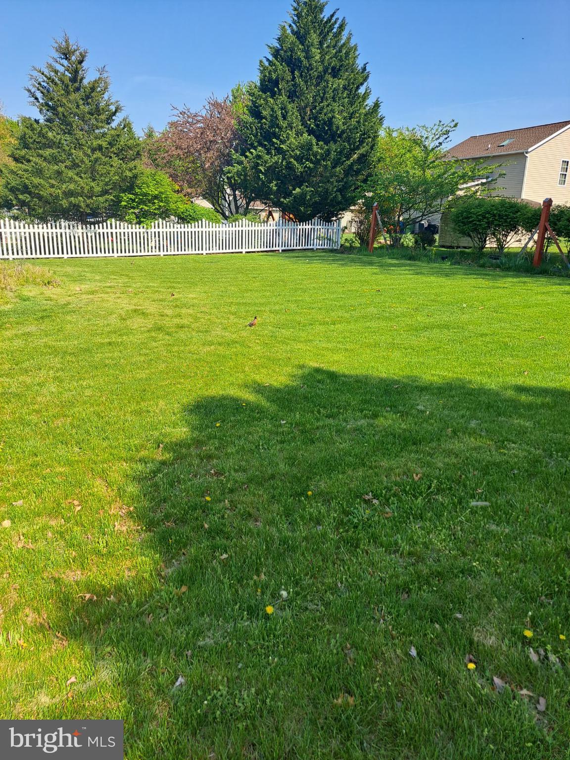 RAINTREE - Residential