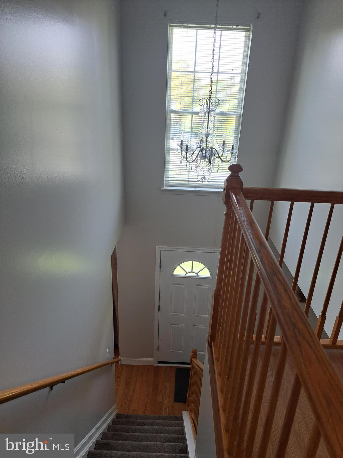 RAINTREE - Residential