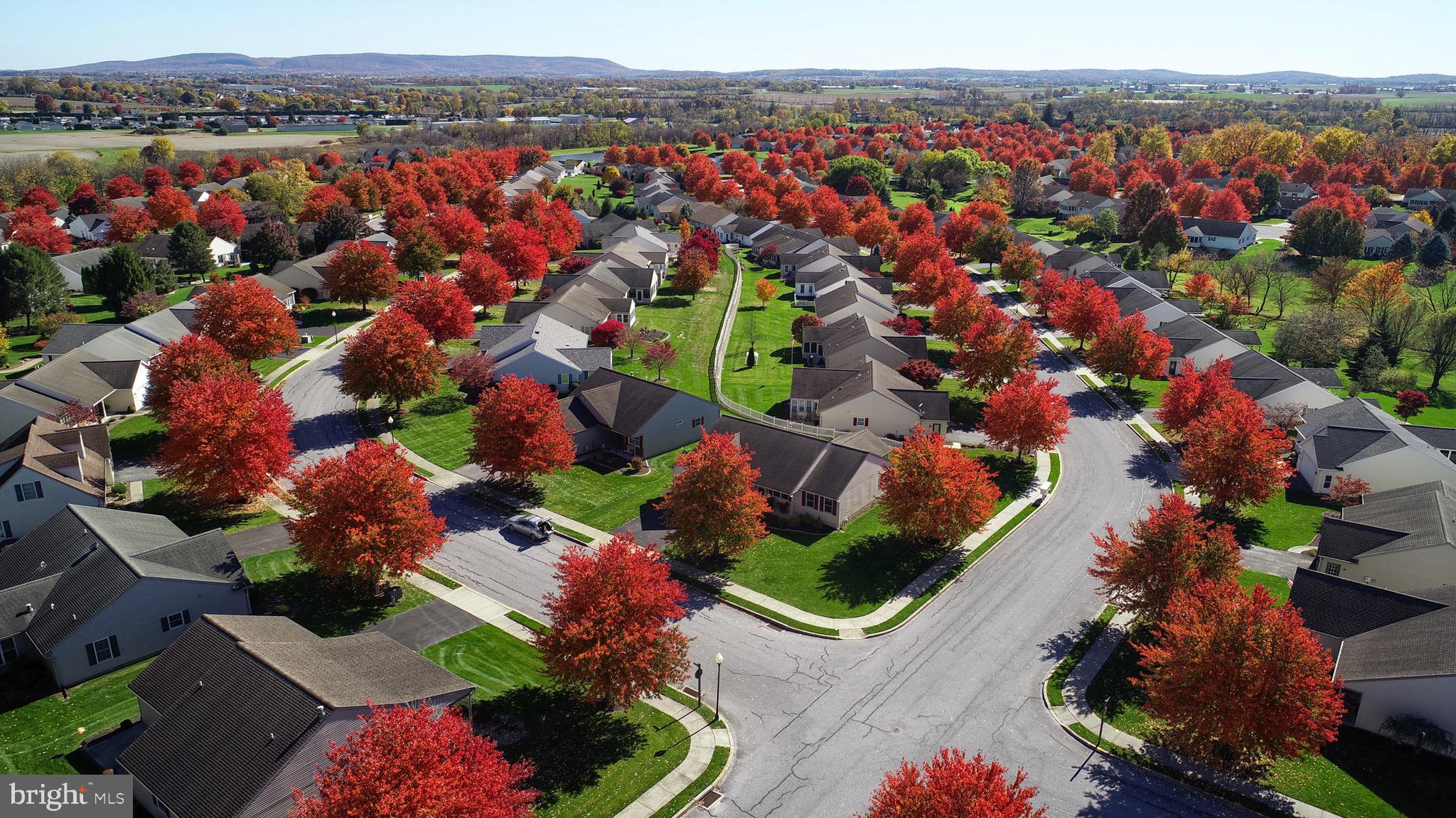 3 ARBOR DRIVE