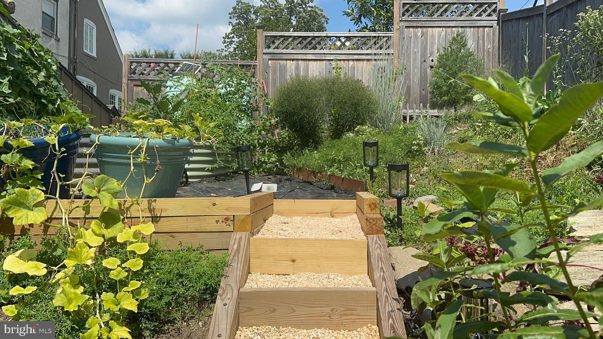 CHESTNUT HILL - Residential