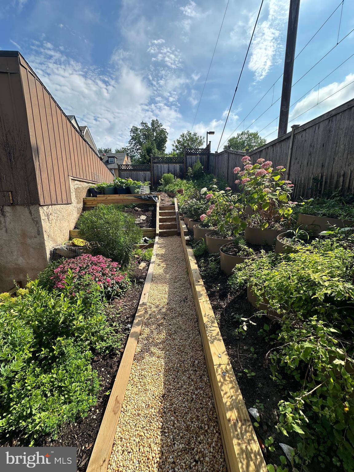 CHESTNUT HILL - Residential