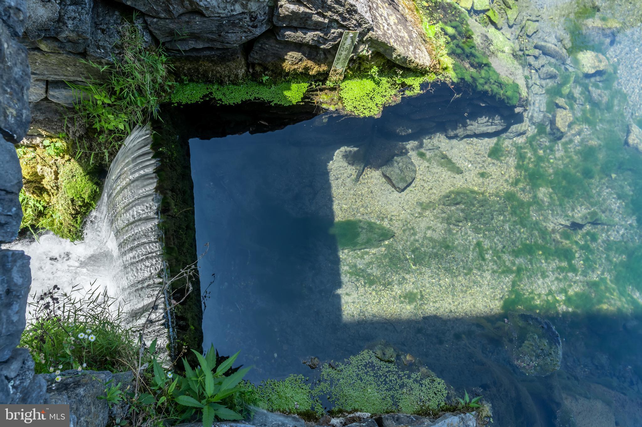 VAUCLUSE - Residential