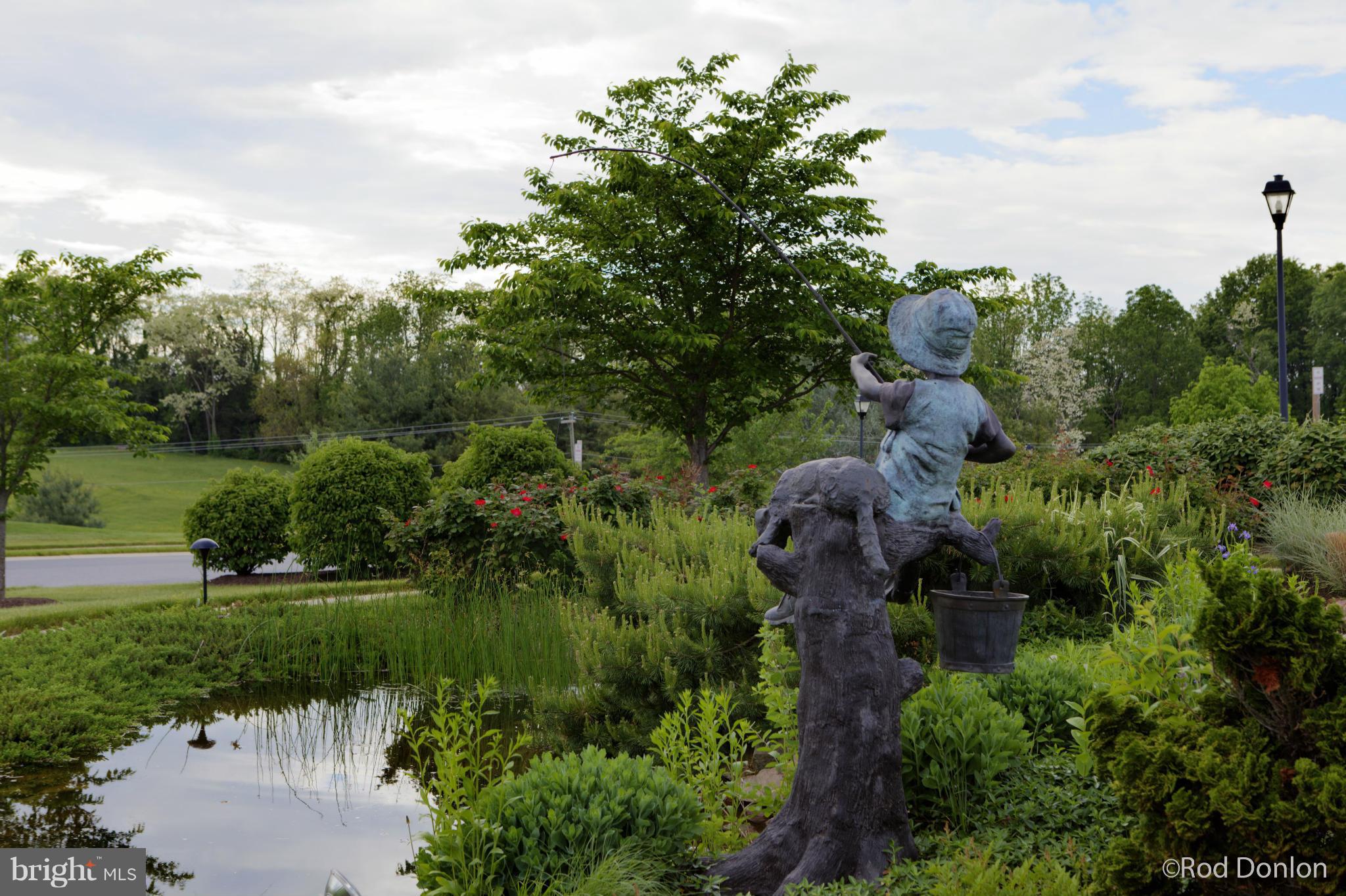 CARROLL VISTA - Residential