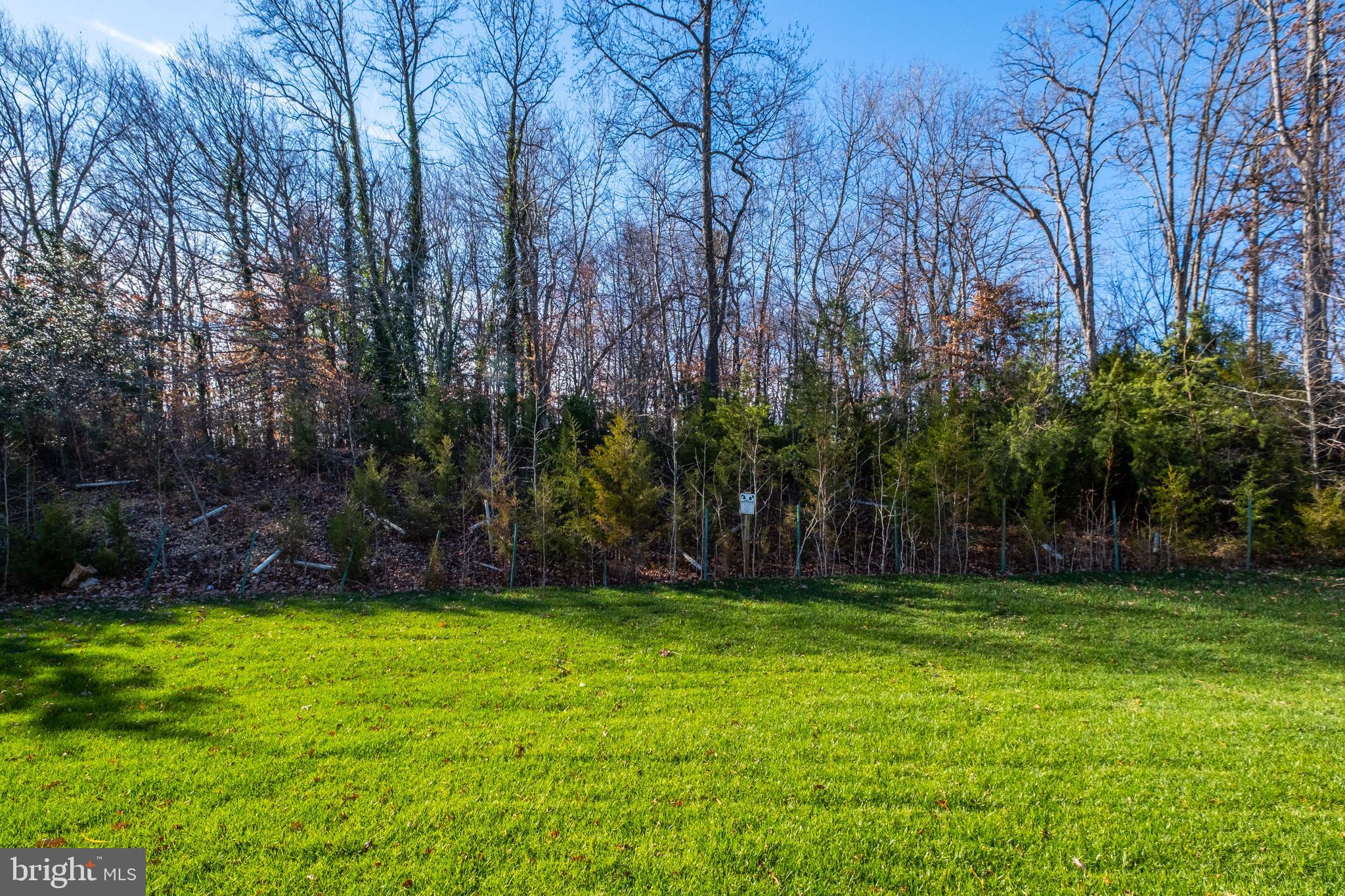 WASHINGTON OVERLOOK - Residential
