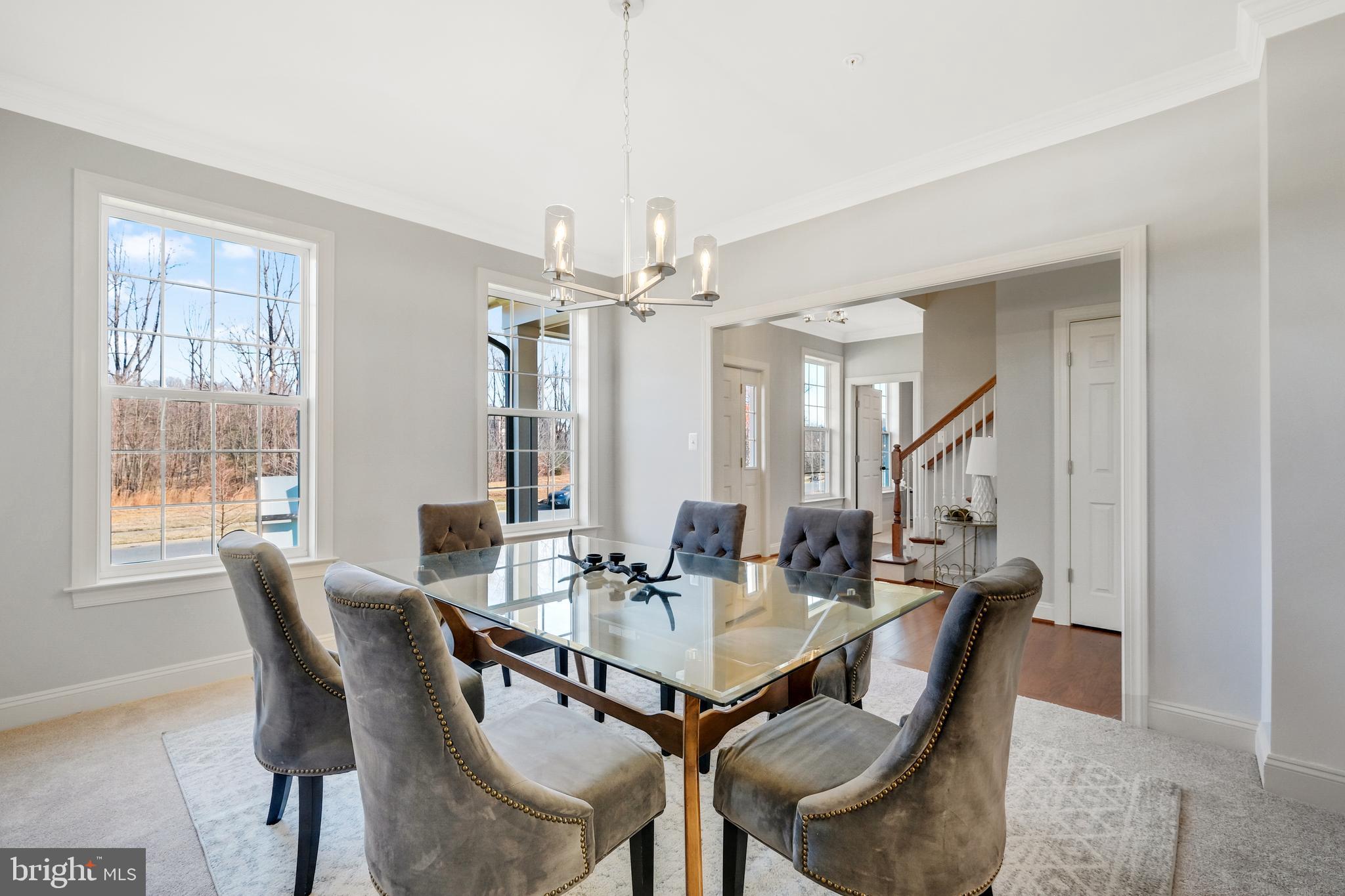 WASHINGTON OVERLOOK - Residential