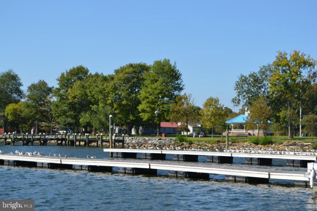 CHESAPEAKE BAY GOLF CLUB - Residential