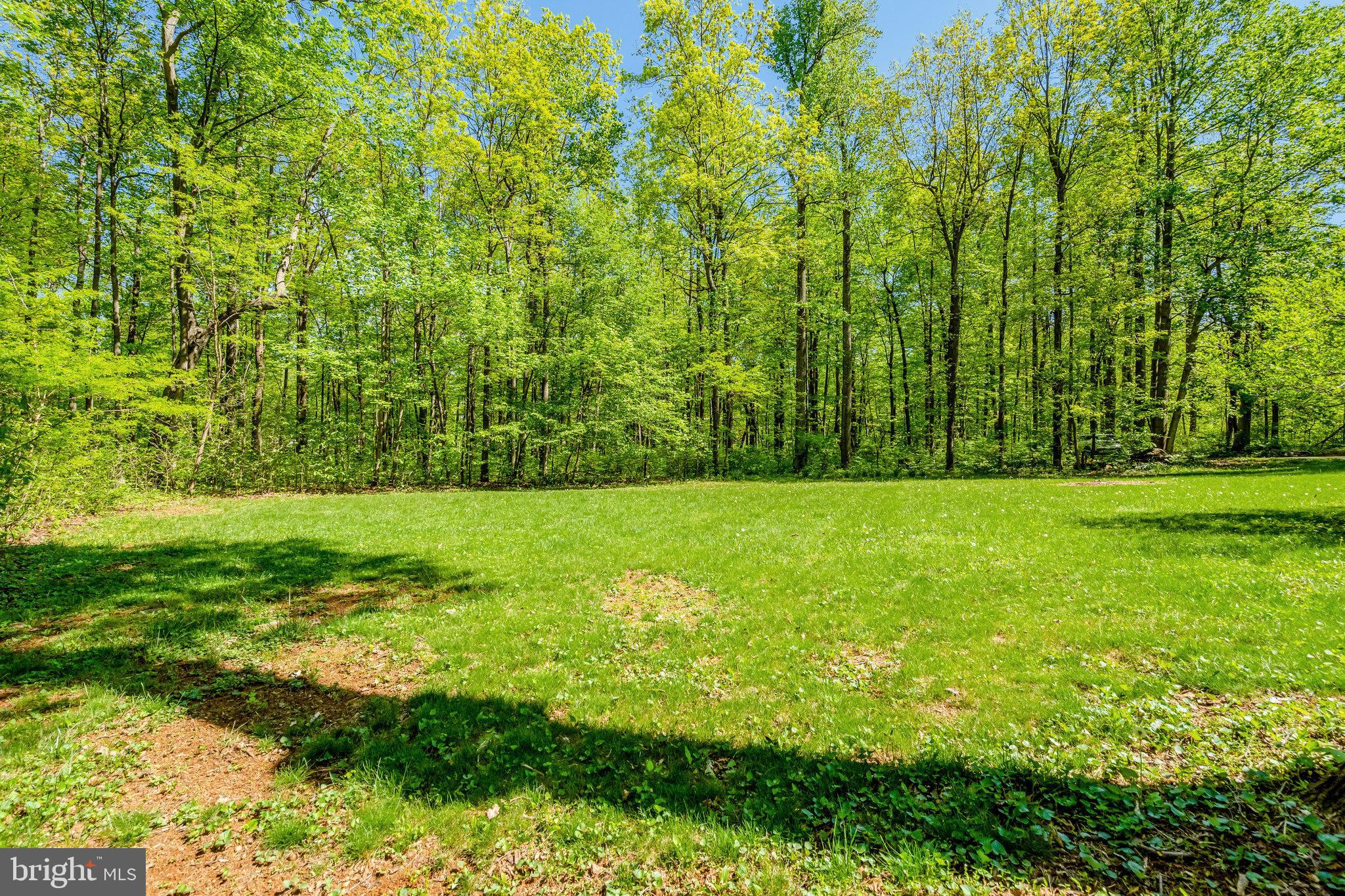 SHENANDOAH - Residential