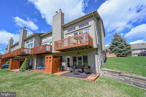 257 MARSH HILL ROAD 1 MC HENRY MD 21541