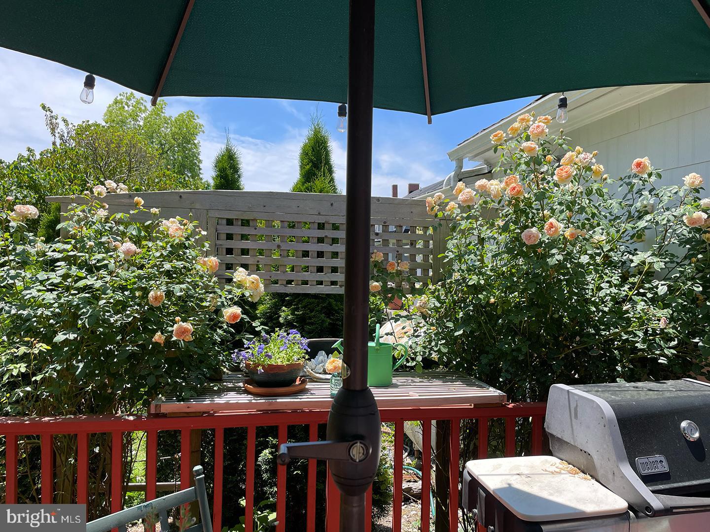 HISTORIC WEST END - Residential