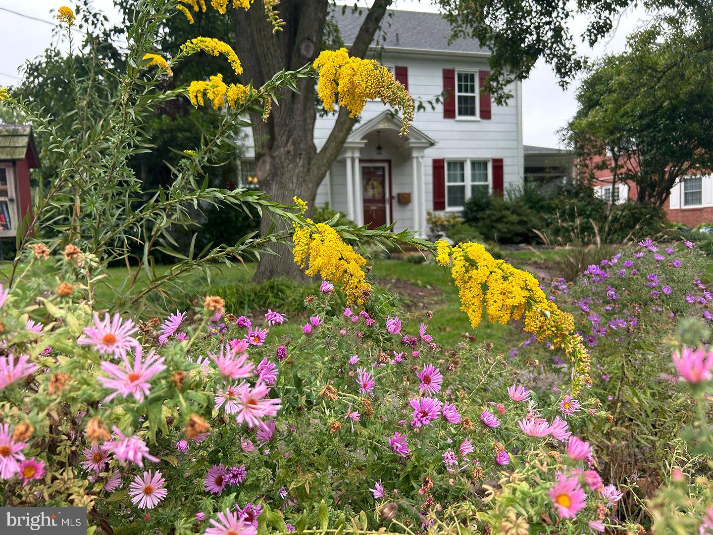 HISTORIC WEST END - Residential