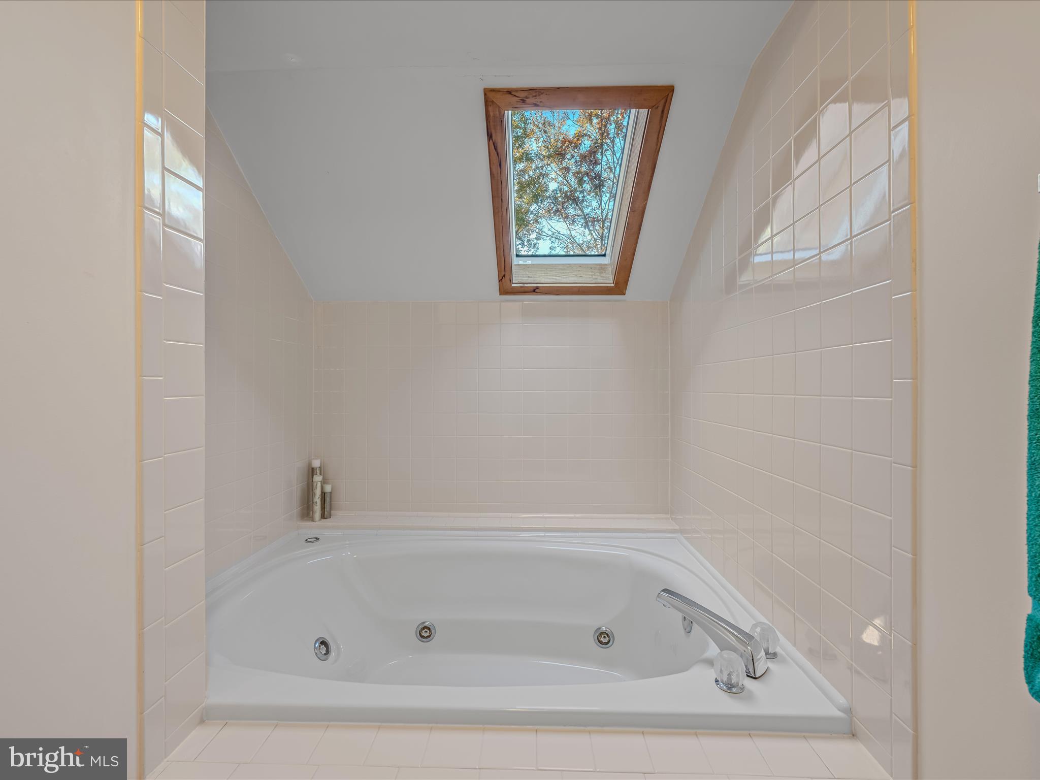 THE WOODS - Residential