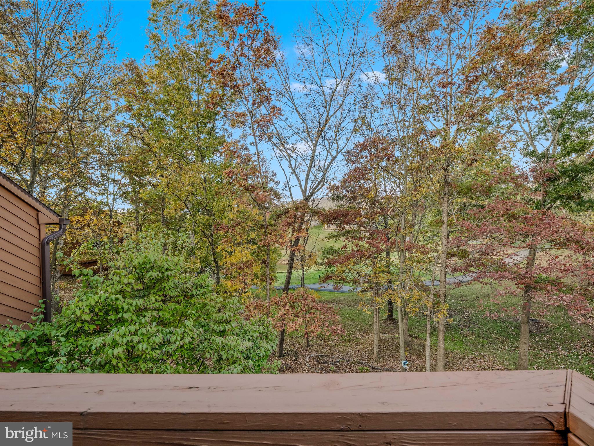 THE WOODS - Residential