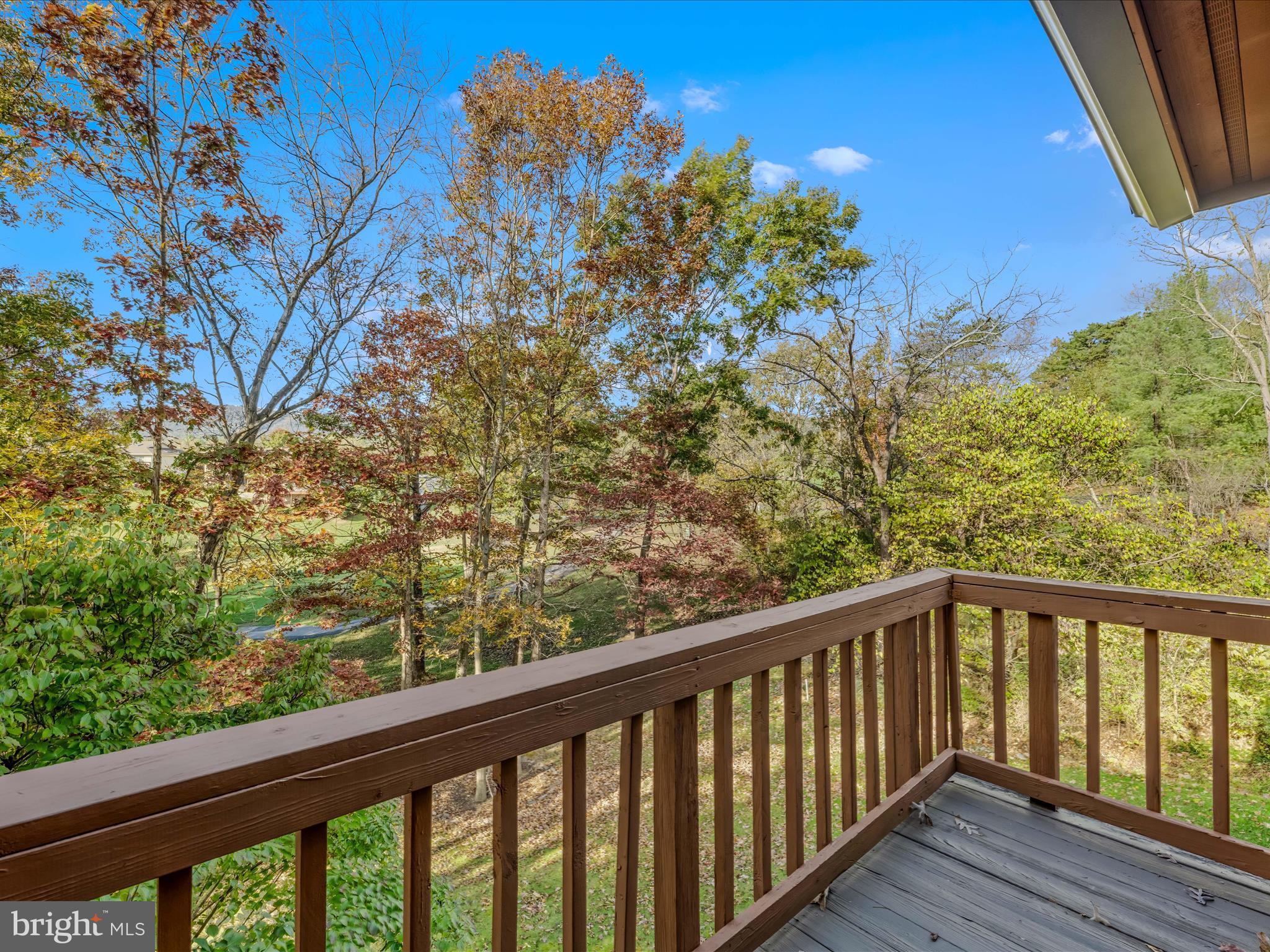 THE WOODS - Residential