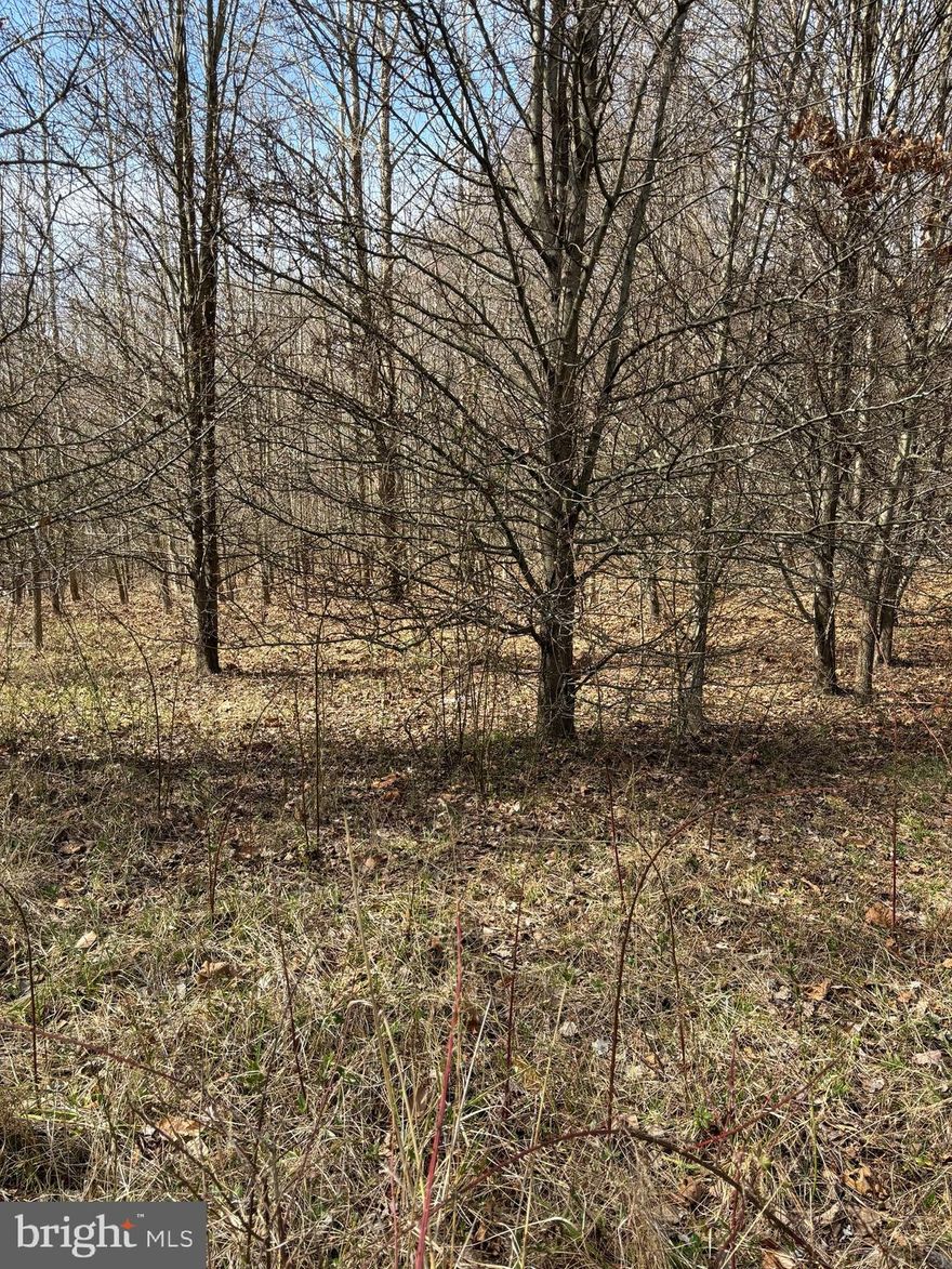 16 Acres sets behind 2.48 acres 2 lots are being sold together.  Build your dream house, hiking, hunting, farming on this nice wooded lot.  not far from shopping but still in the country nice and quiet.  Land has a Perc uploaded in documents .    The other lot 2.48 acres is MDPG2105640, which has to be purchased with this lot.