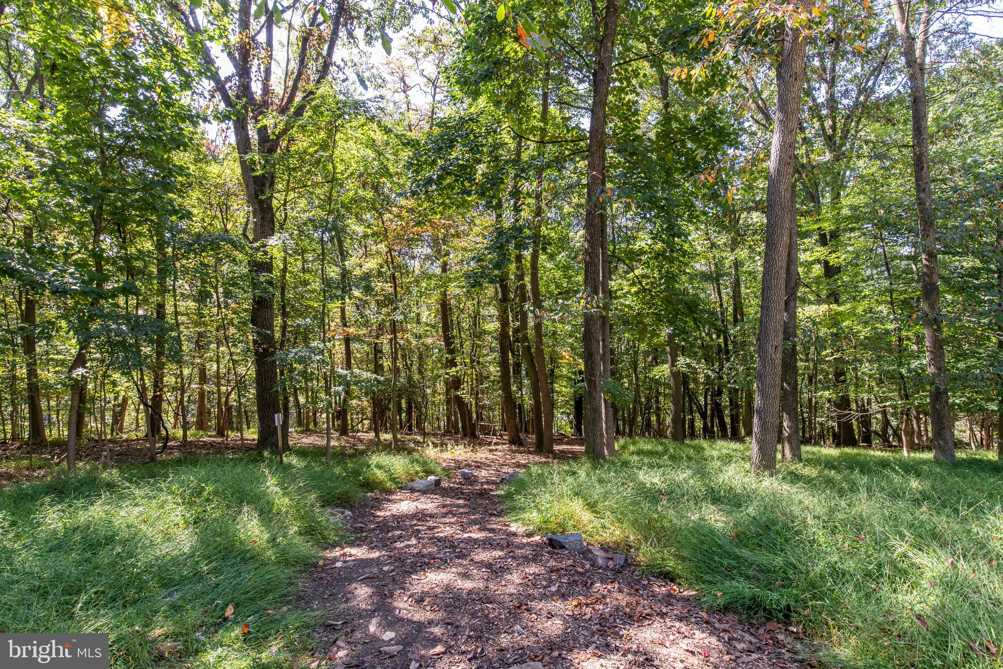 BOB WHITE FARMS - Residential