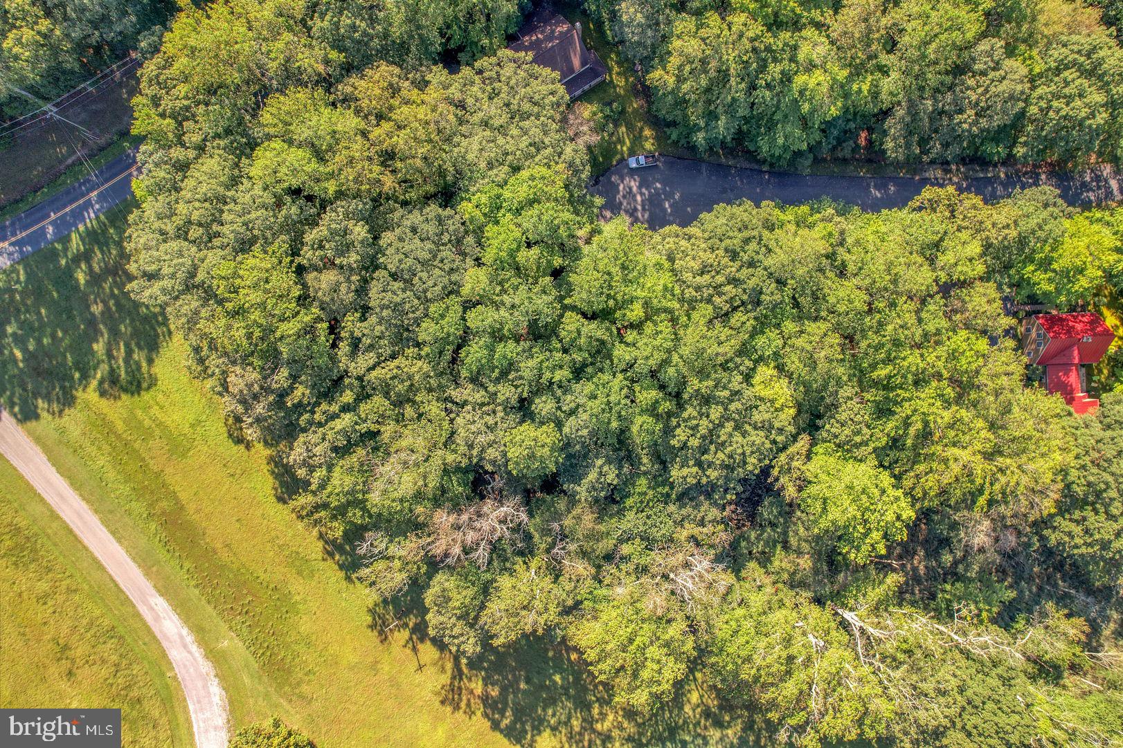 Lot 22 WOOD DUCK COURT - CAROLINA