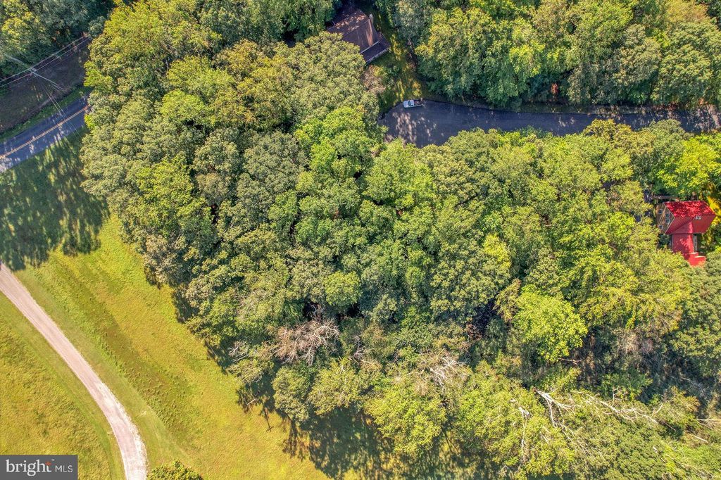 Photo of Lot 22 Wood Duck Court - Carolina, DAGSBORO, DE 19939 (MLS # DESU2109374)