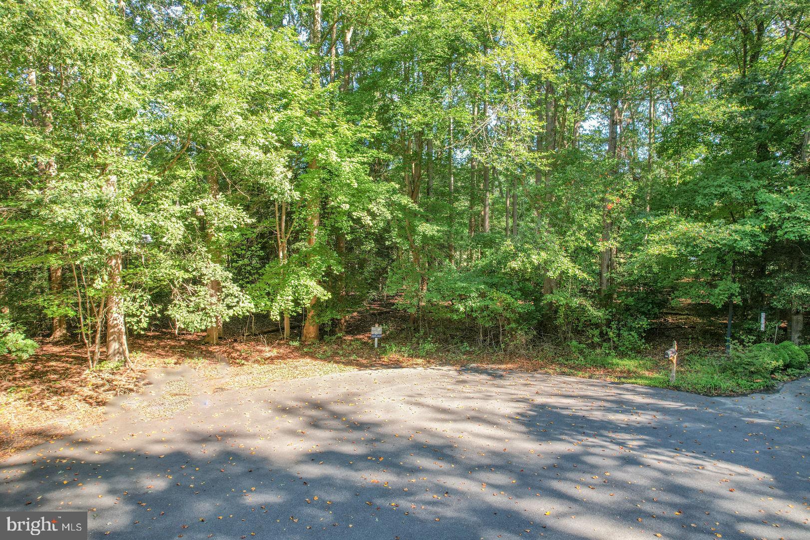 Lot 22 WOOD DUCK COURT - CAROLINA