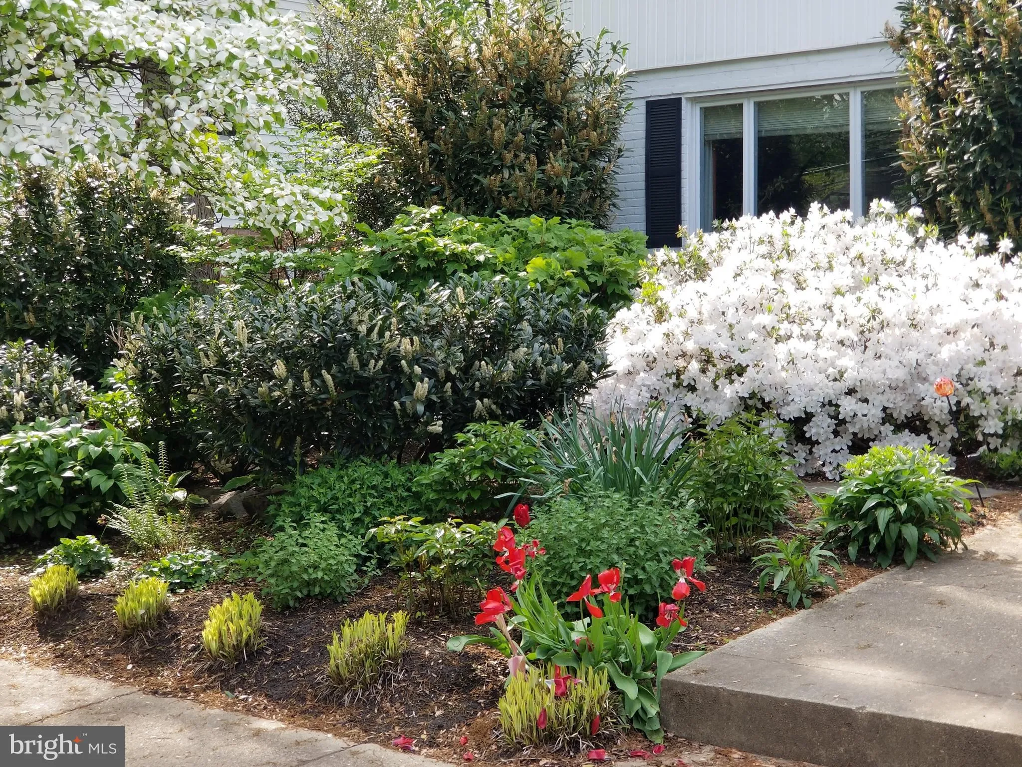 Additional image 92 of 2506 N Upshur Street, Arlington, VA 22207