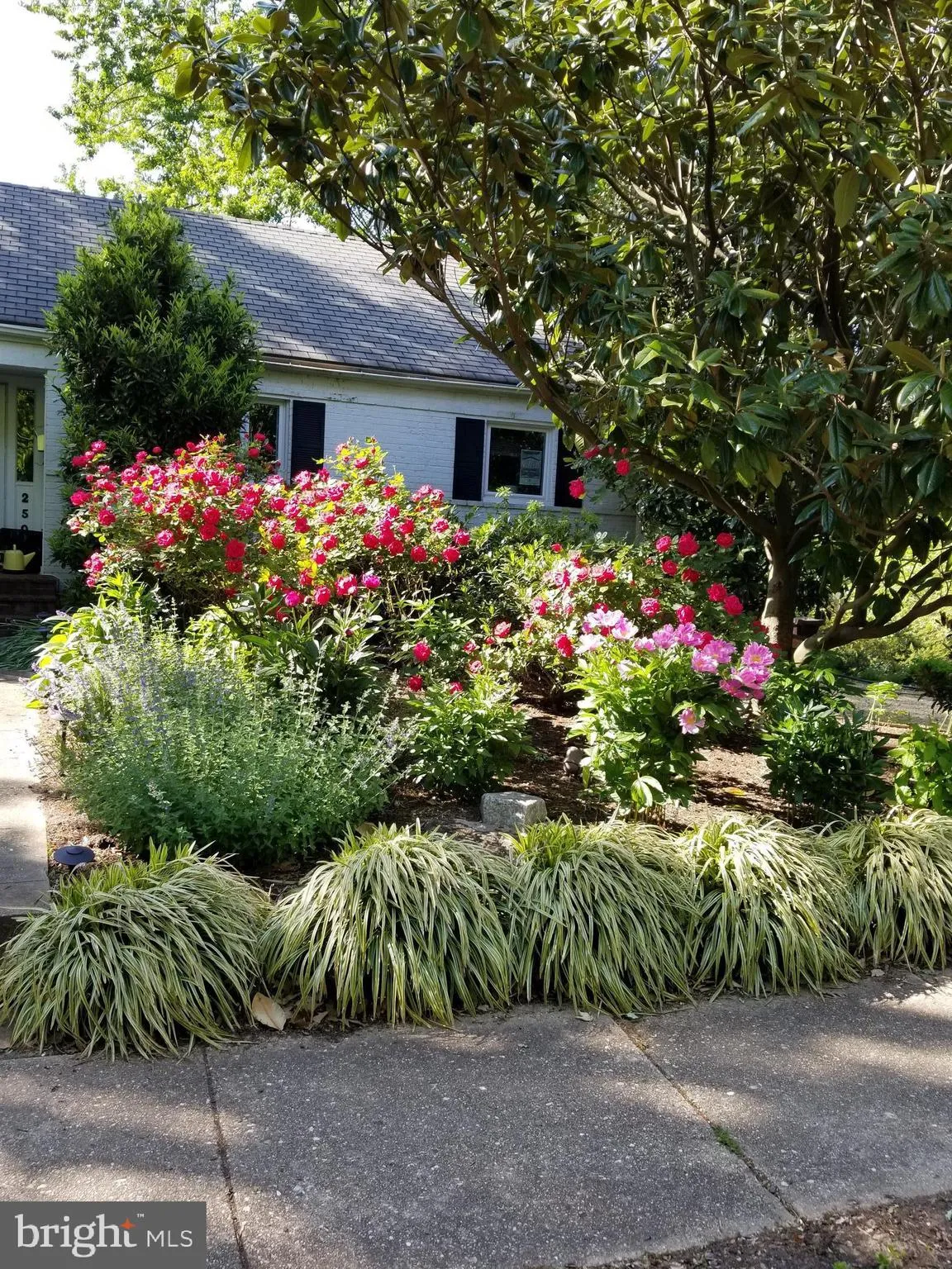 Additional image 91 of 2506 N Upshur Street, Arlington, VA 22207