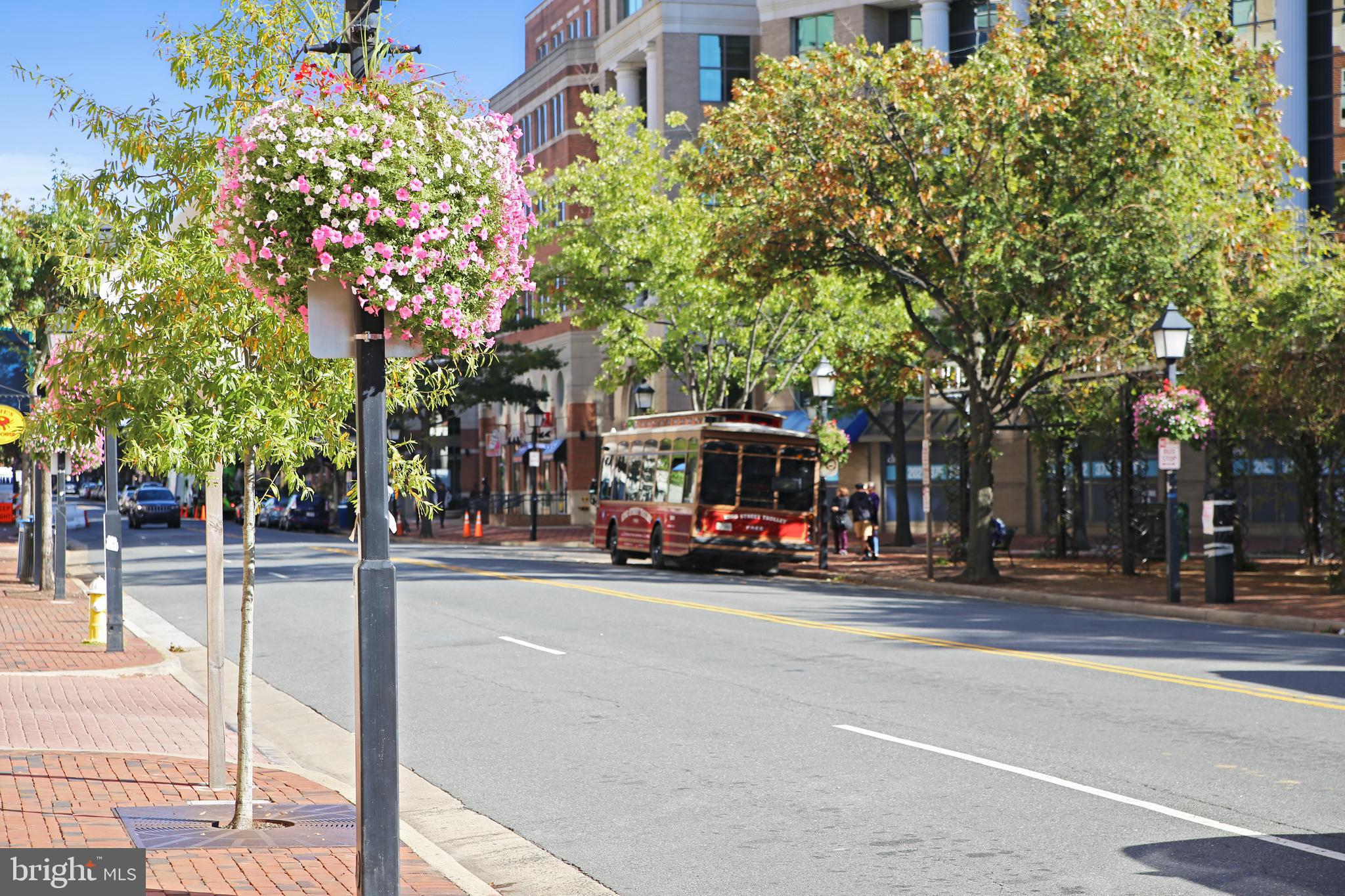 POTOWMACK CROSSING - Residential