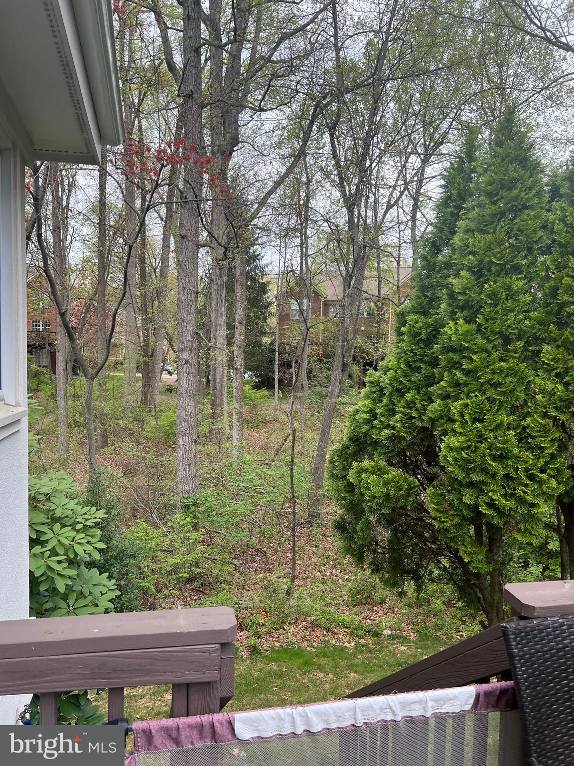 WINDSOR PARK - Residential Lease