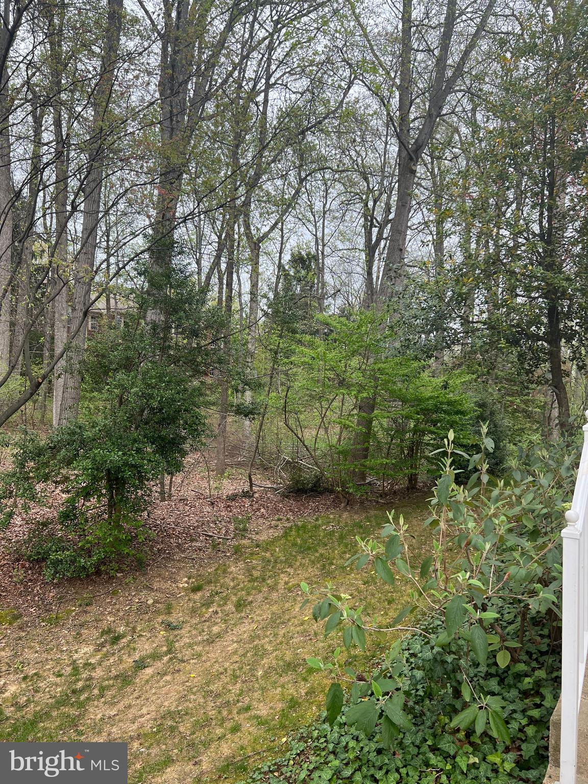 WINDSOR PARK - Residential Lease