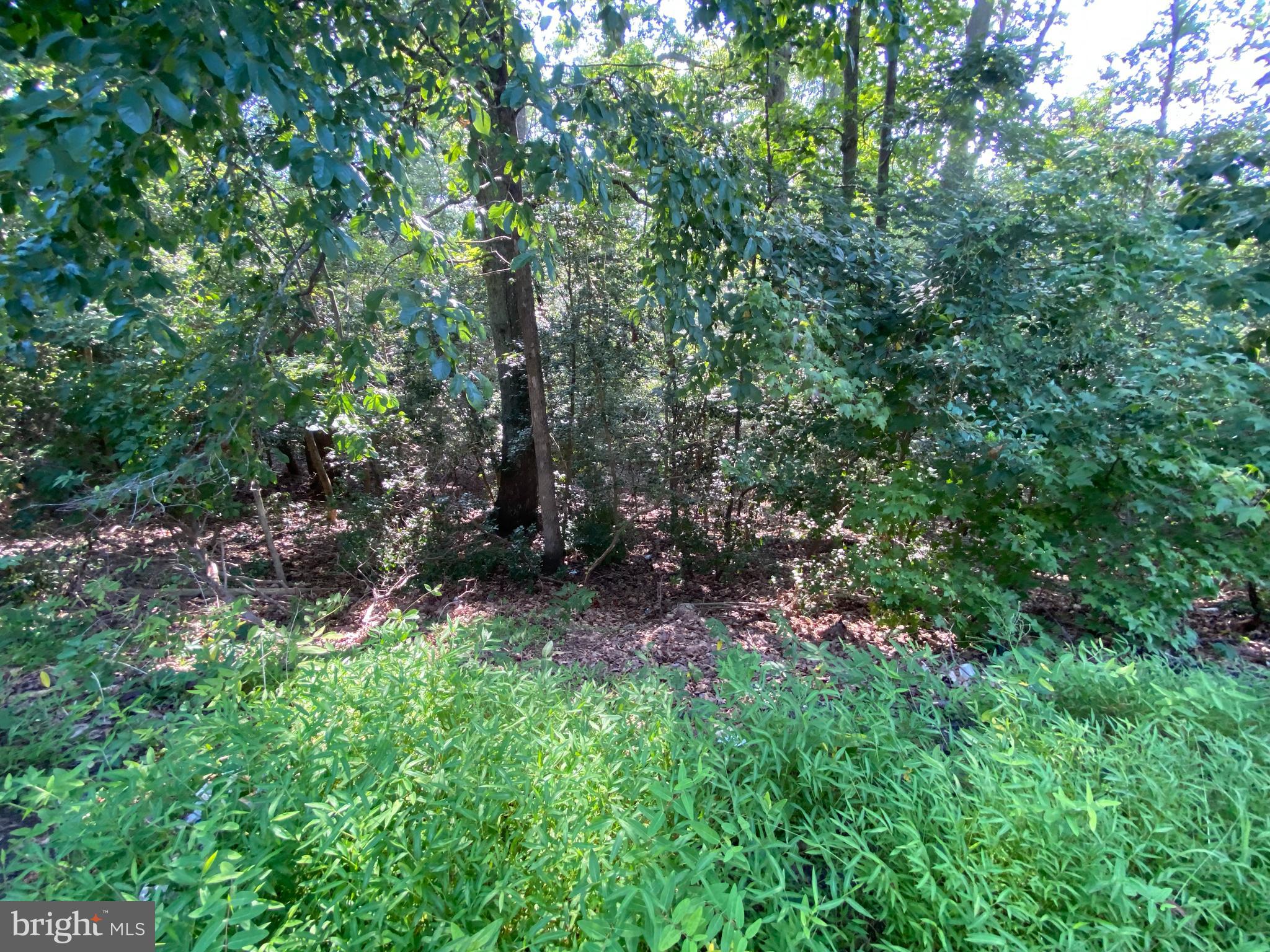 11525 SENORA LANE