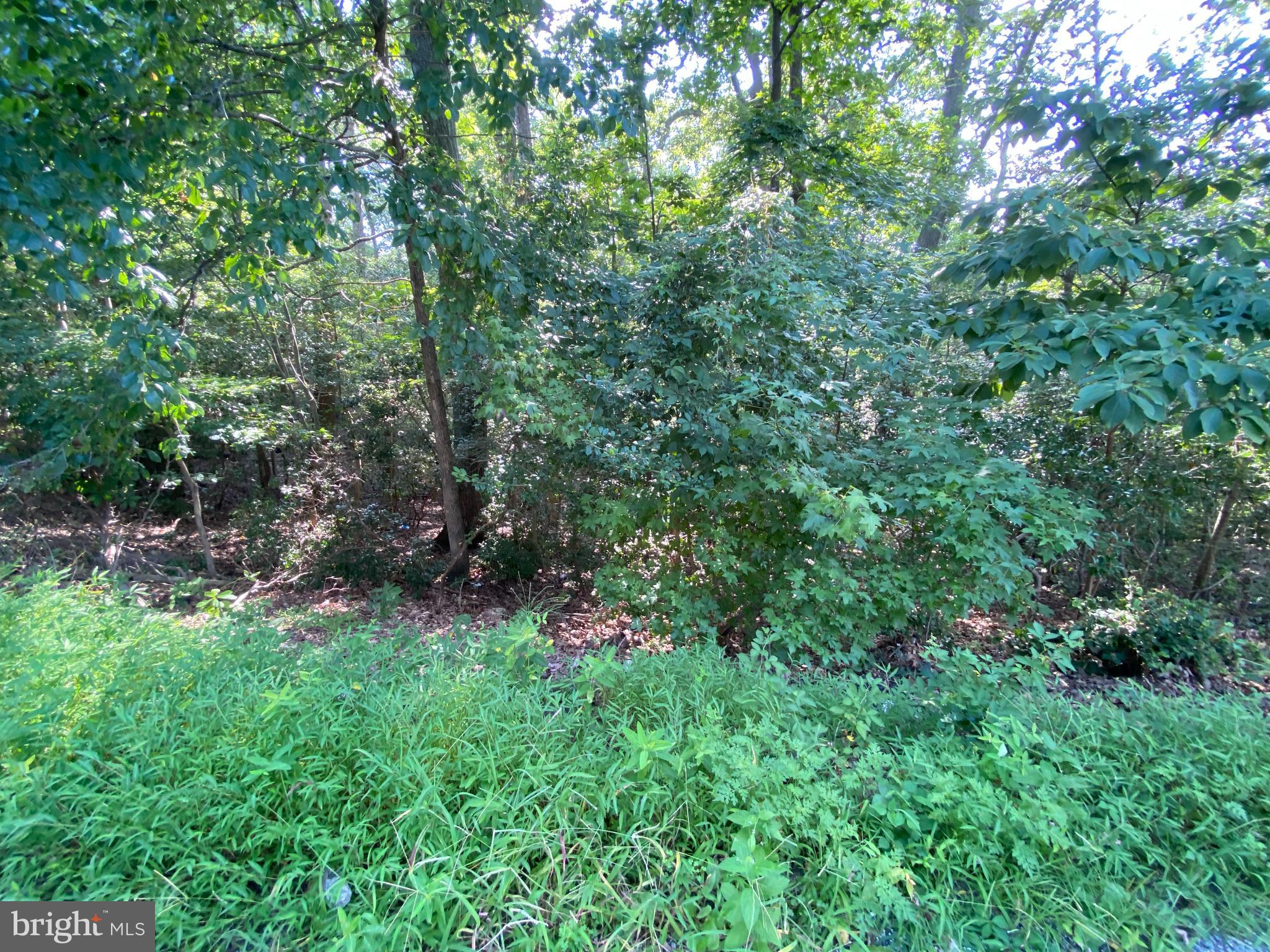 11525 SENORA LANE