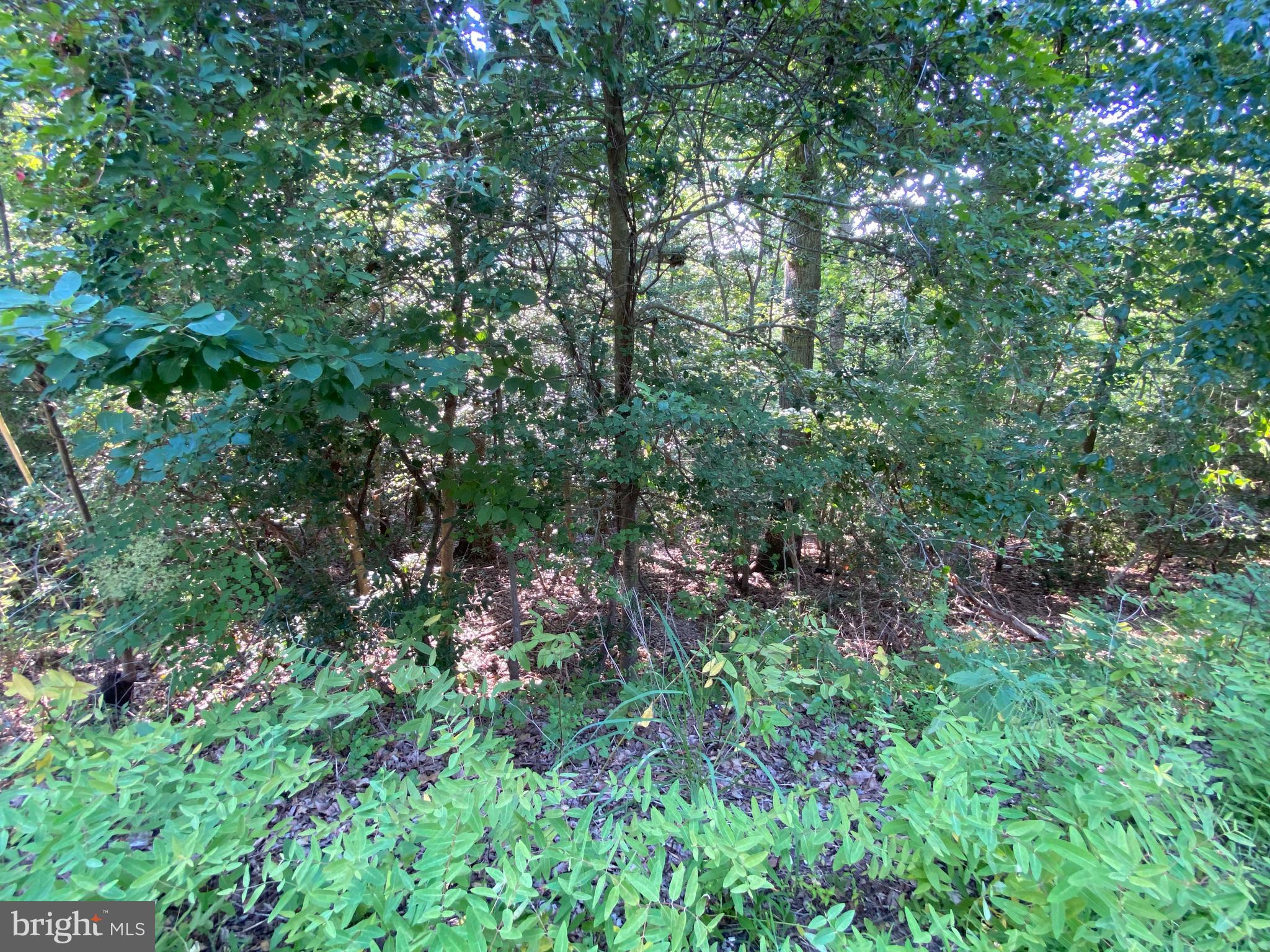 11525 SENORA LANE