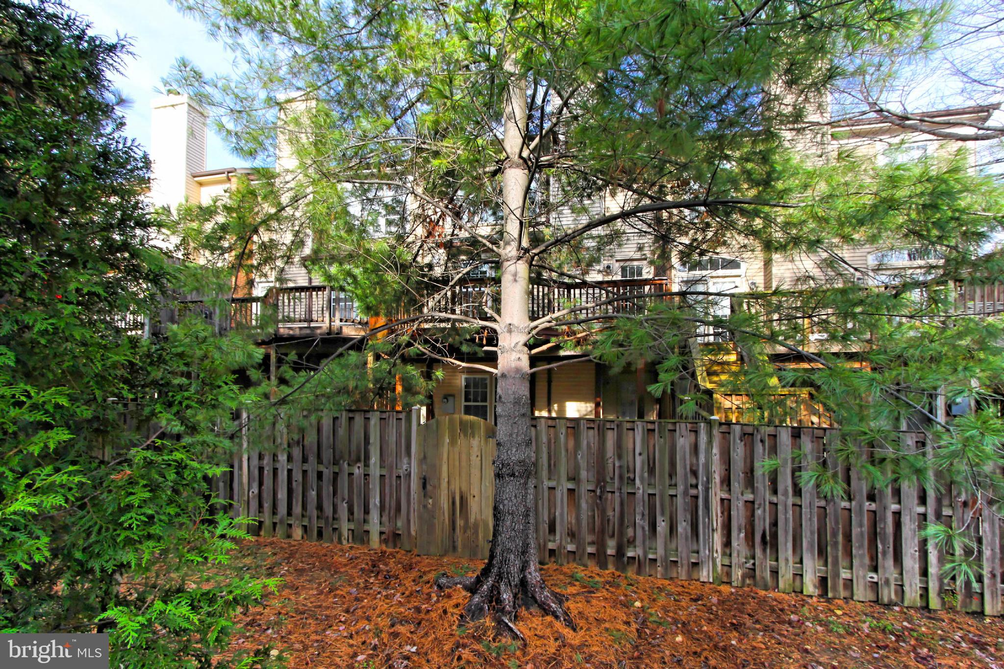 KINGSTOWNE - Residential Lease